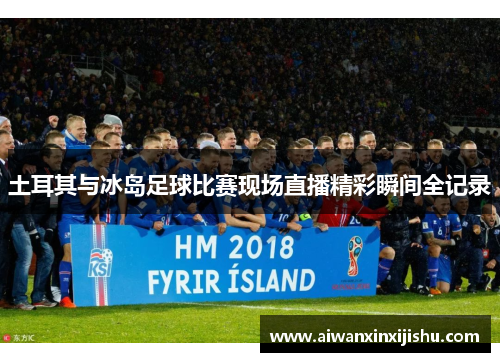 土耳其与冰岛足球比赛现场直播精彩瞬间全记录
